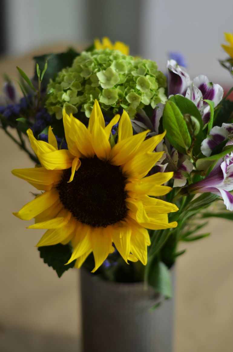 Wine and Cheese Birthday Party | Minted Bold