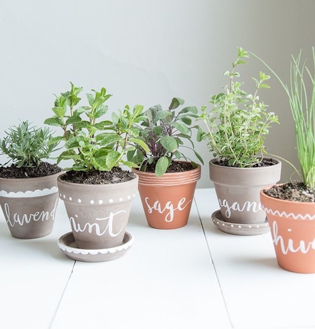 diy-label-herb-planters-via-jessica-coco-and-mingo-for-bodhiluxe