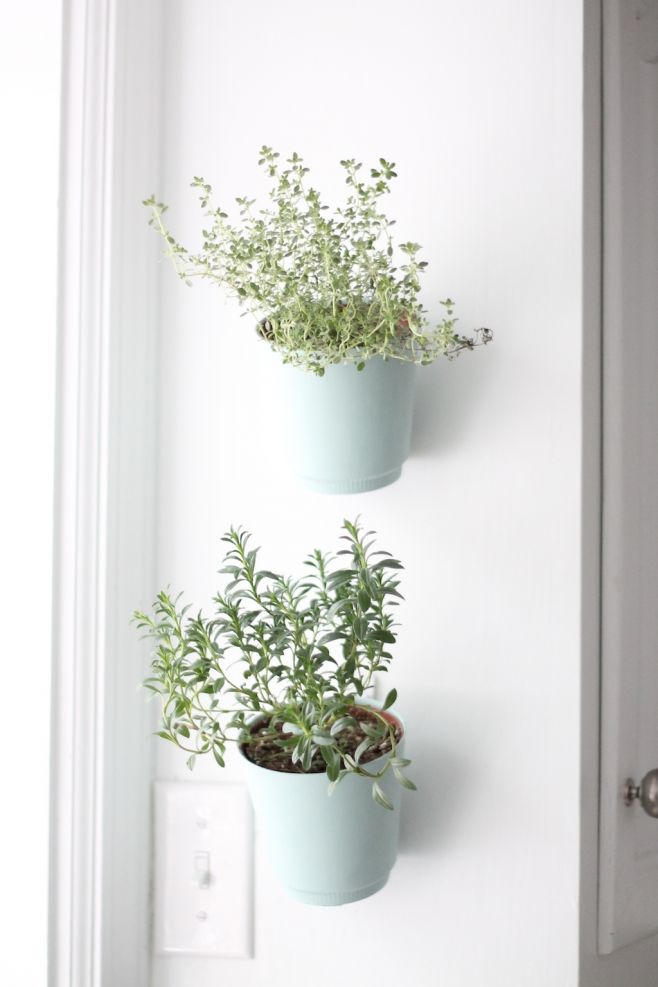 hanging-planters