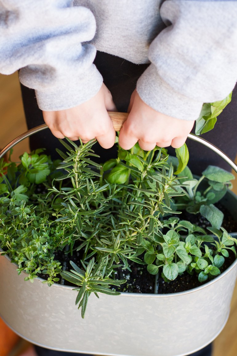 utensil-holder-herb-garden
