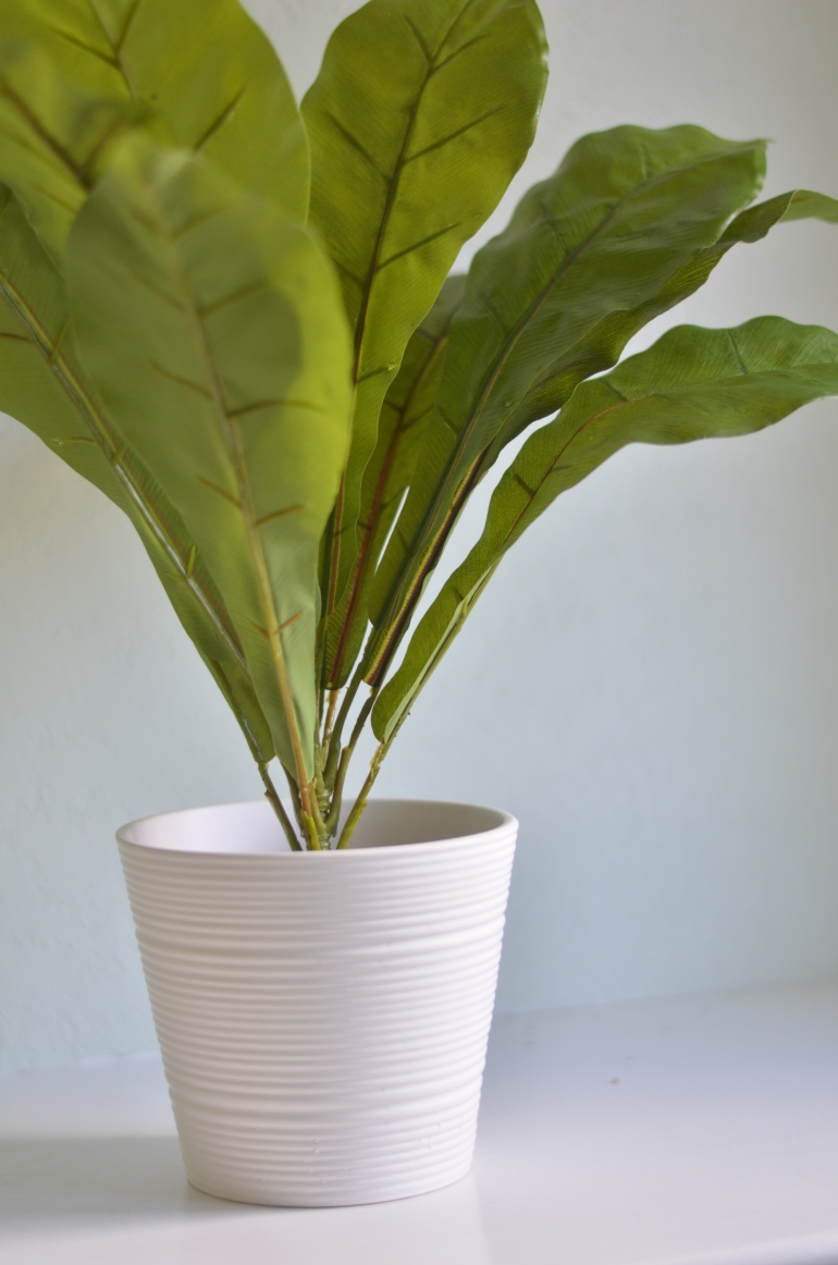 DIY Faux House Plant | Minted Bold