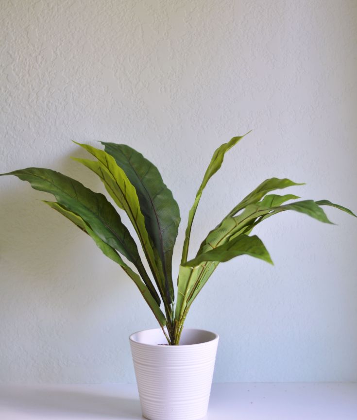 DIY Faux House Plant | Minted Bold