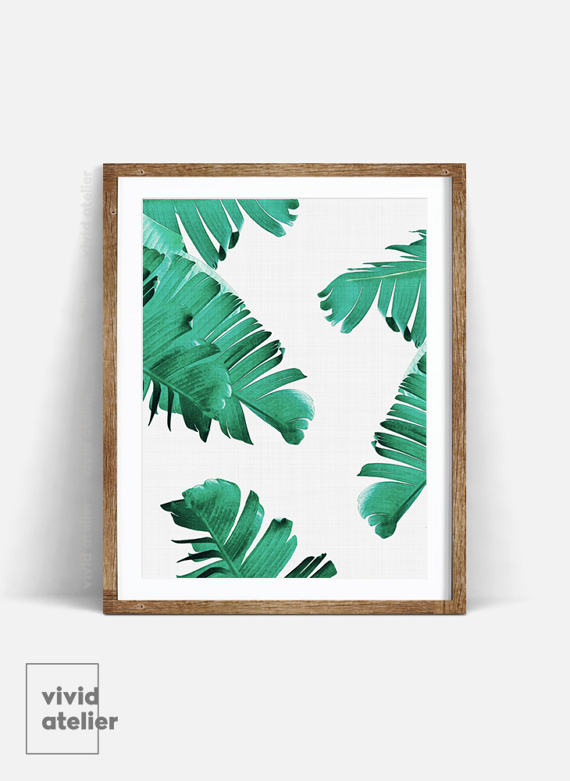 Qeaql Studio Design Resource