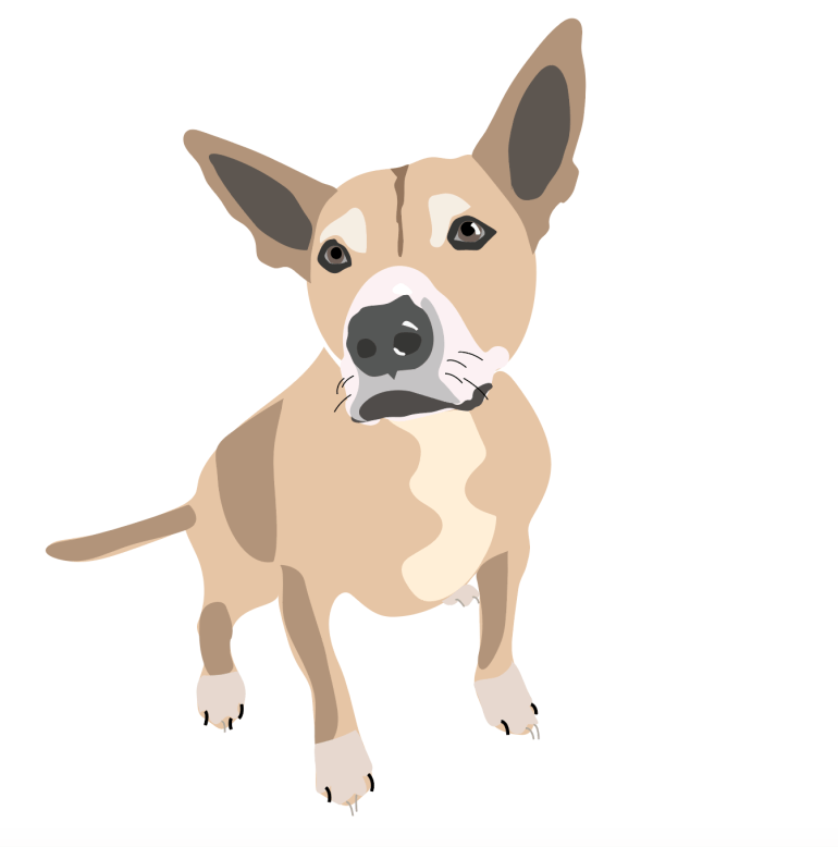 Screen Shot 2020-03-26 at 1.44.54 AM